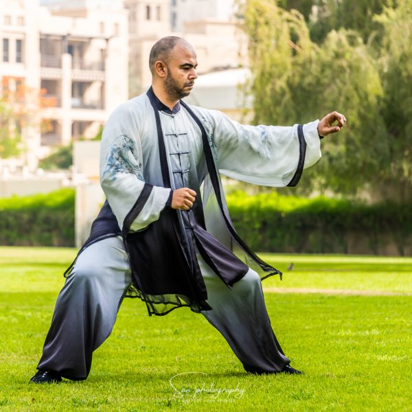 tai-chi-dubai-classes-mo-dalong (18)